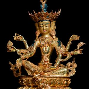 VASUNDHARA DEVI (Norgyunma)